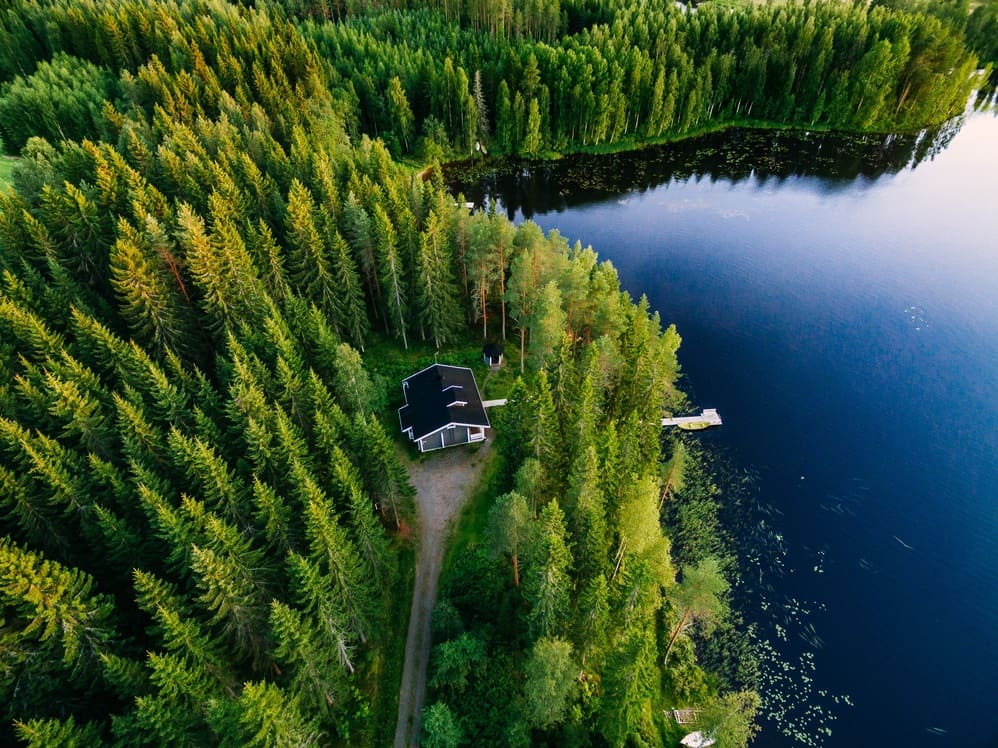 Cottage umgeben von norwegischem Wald